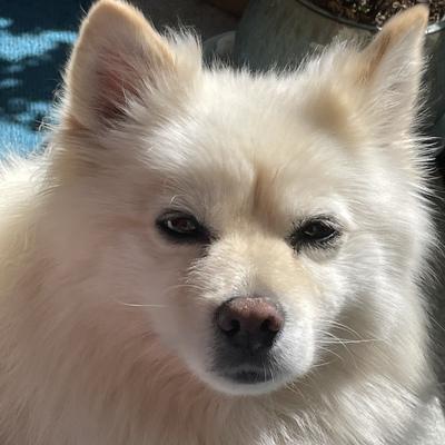 pinhman@humanwords.party